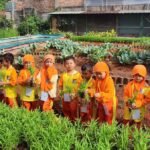 Serunya Siswa TK Durrotul Hikmah Panen Raya di KWT Good Farm Binaan IKPP Tangerang