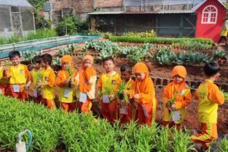 Serunya Siswa TK Durrotul Hikmah Panen Raya di KWT Good Farm Binaan IKPP Tangerang