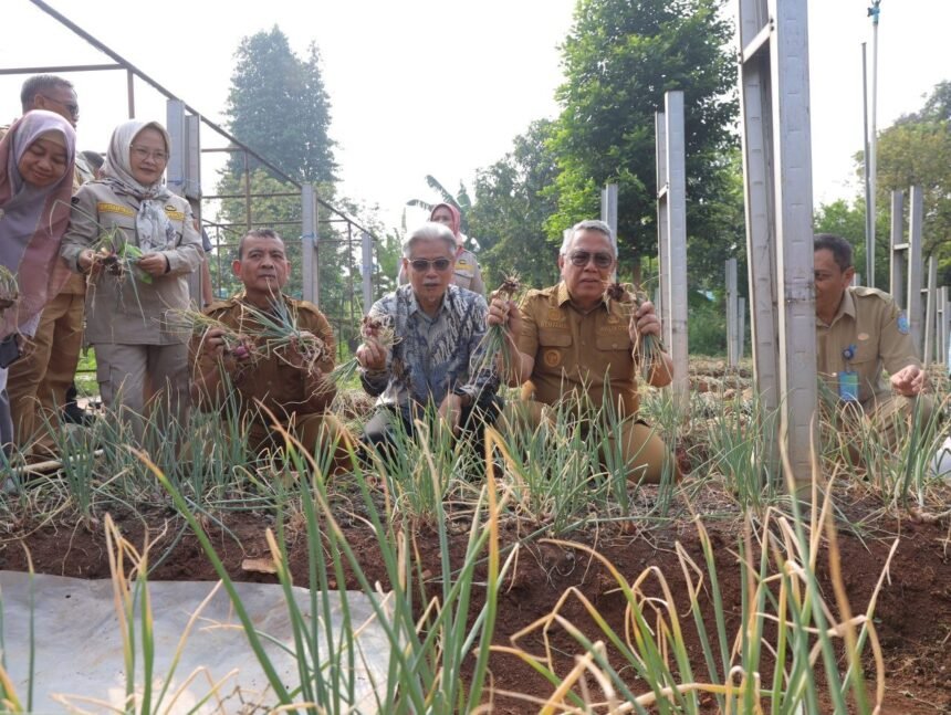 Wali Kota Tangsel Benyamin Davnie