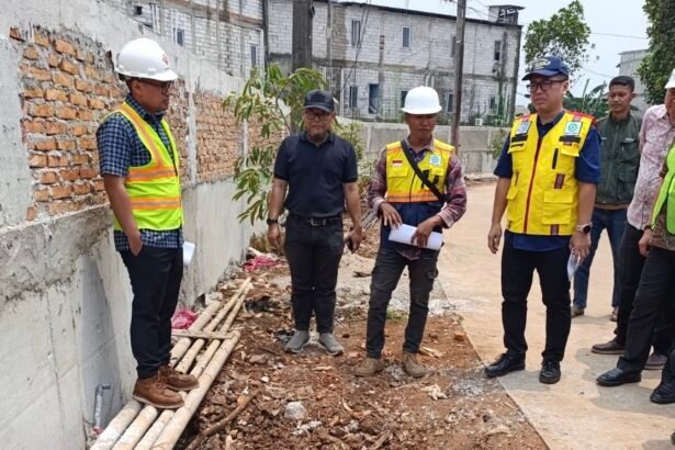 Wakil Wali Kota Tangsel Pilar Saga Ichsan